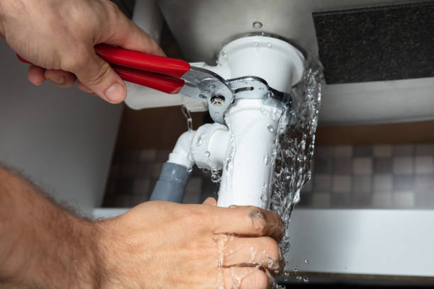 Best Fire Damage Restoration  in Verona Walk, FL