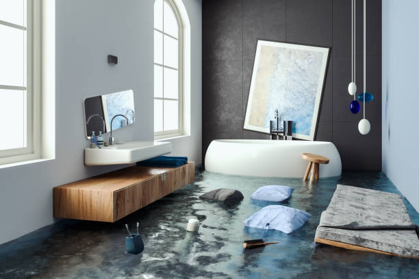 Best Flooded house restoration  in Verona Walk, FL