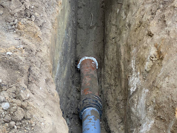 Best Basement water damage restoration  in Verona Walk, FL