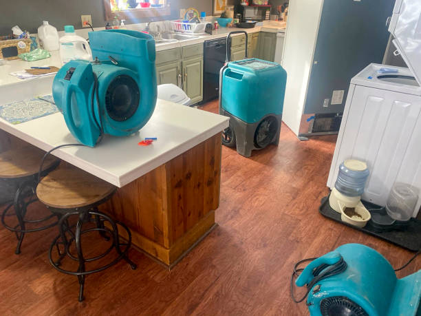 Best Flooded house restoration  in Verona Walk, FL