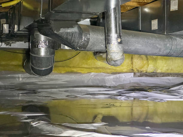 Best Water damage restoration near me  in Verona Walk, FL