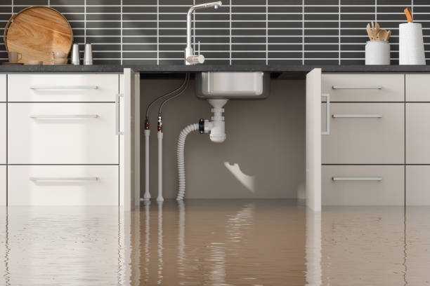 Trusted FL Water damage restoration Experts